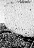 You can see an enlarged version of this picture by clicking here.