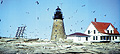 You can see an enlarged version of this picture by clicking here.