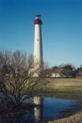 You can see an enlarged version of this picture by clicking here.